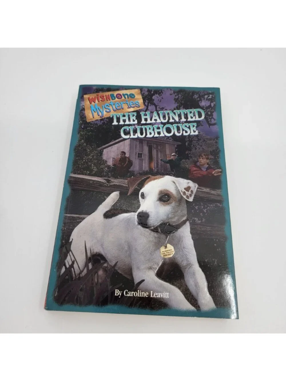 WISHBONE Lot of 4 Chapter Books (Classics & Mysteries) - BK217